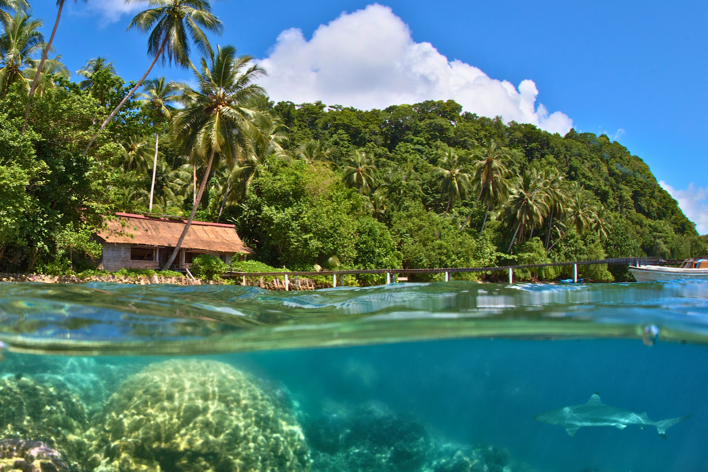 lata, nendo island (4).webp